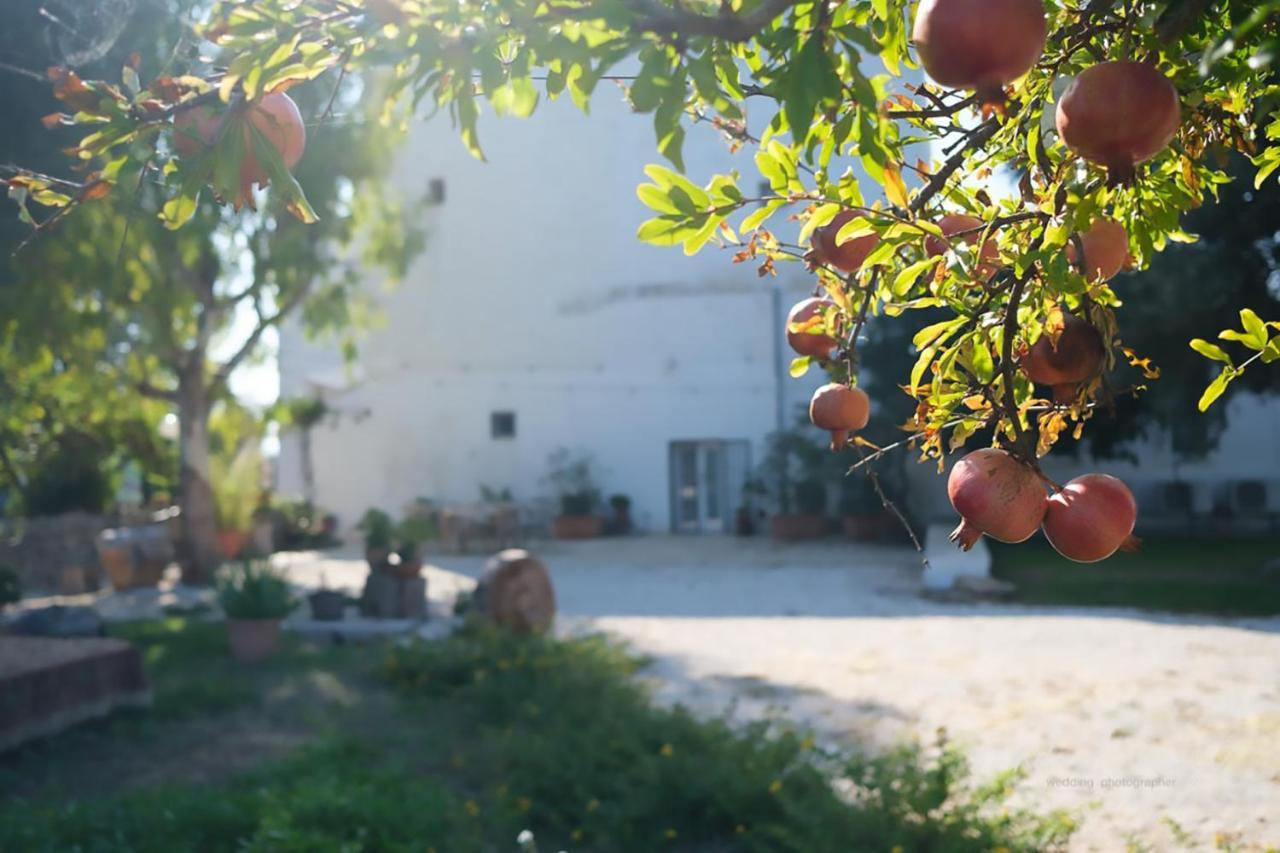 Rooms Masseria Giangrande Polignano a Mare Eksteriør bilde